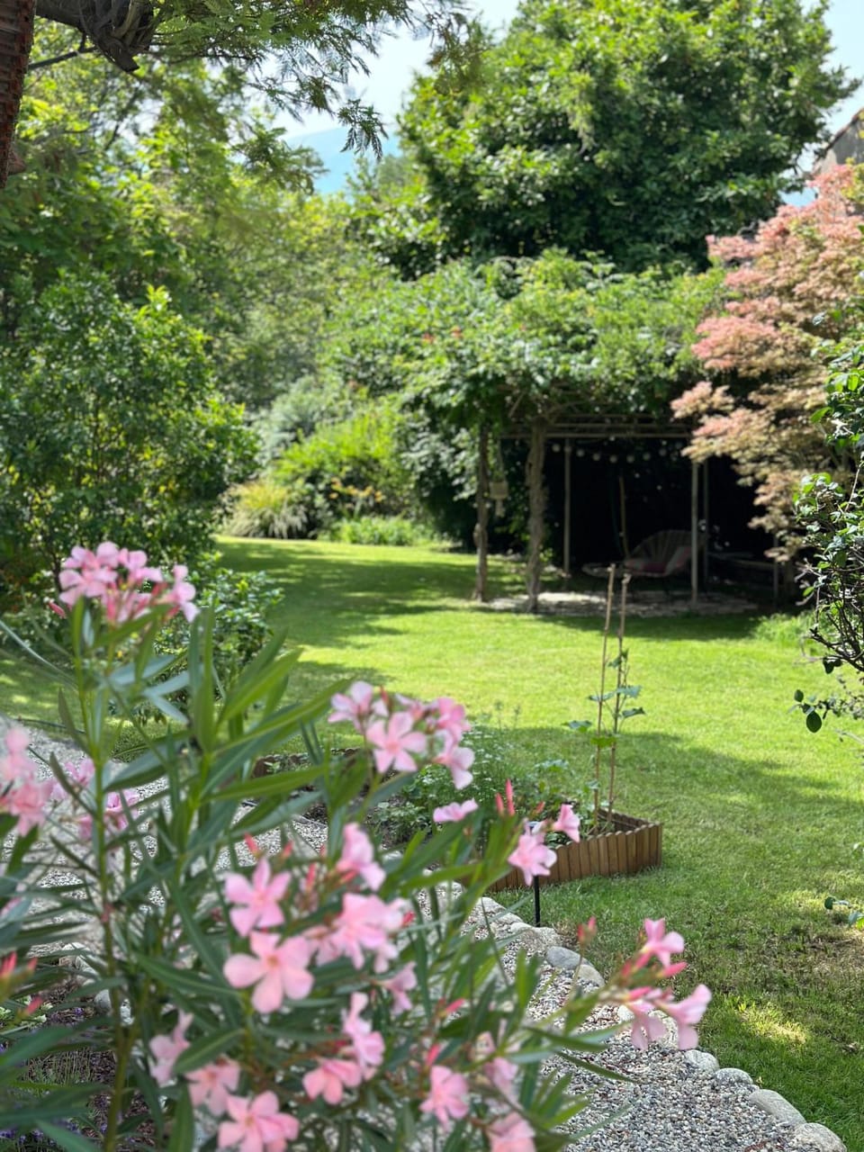 Natural landscape, Garden, Garden view