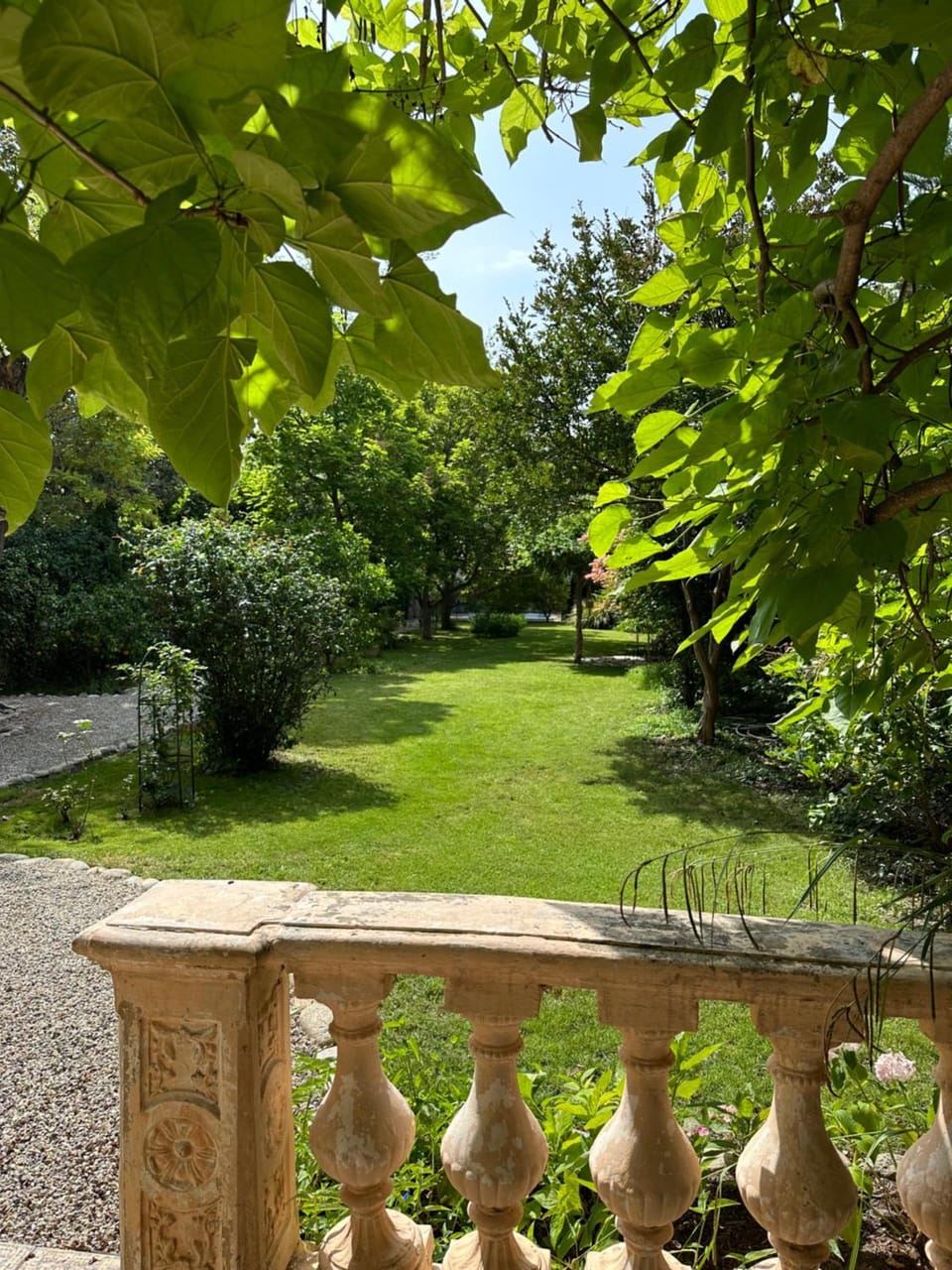 Natural landscape, Garden, Garden view