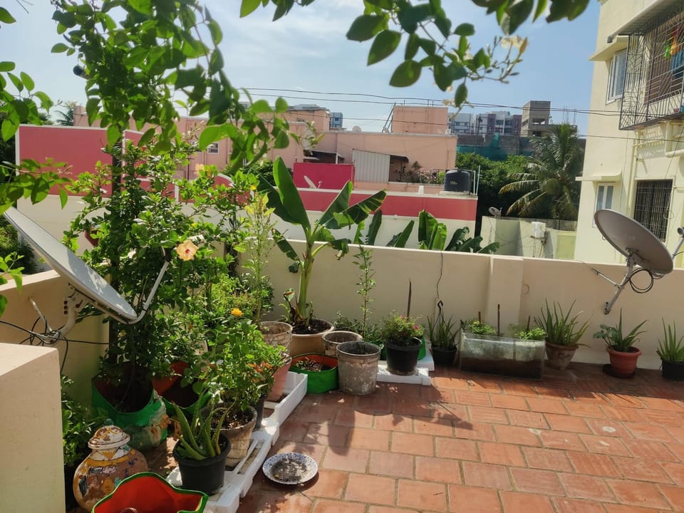 Garden, Garden, Balcony/Terrace