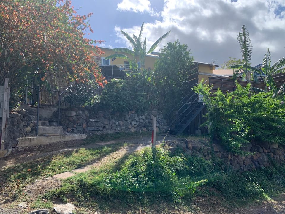 Natural landscape, Garden view