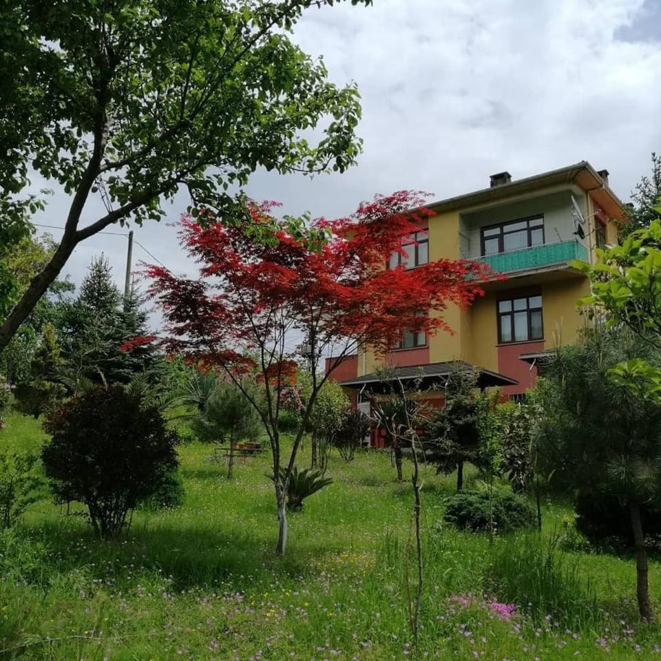 Property building, Day