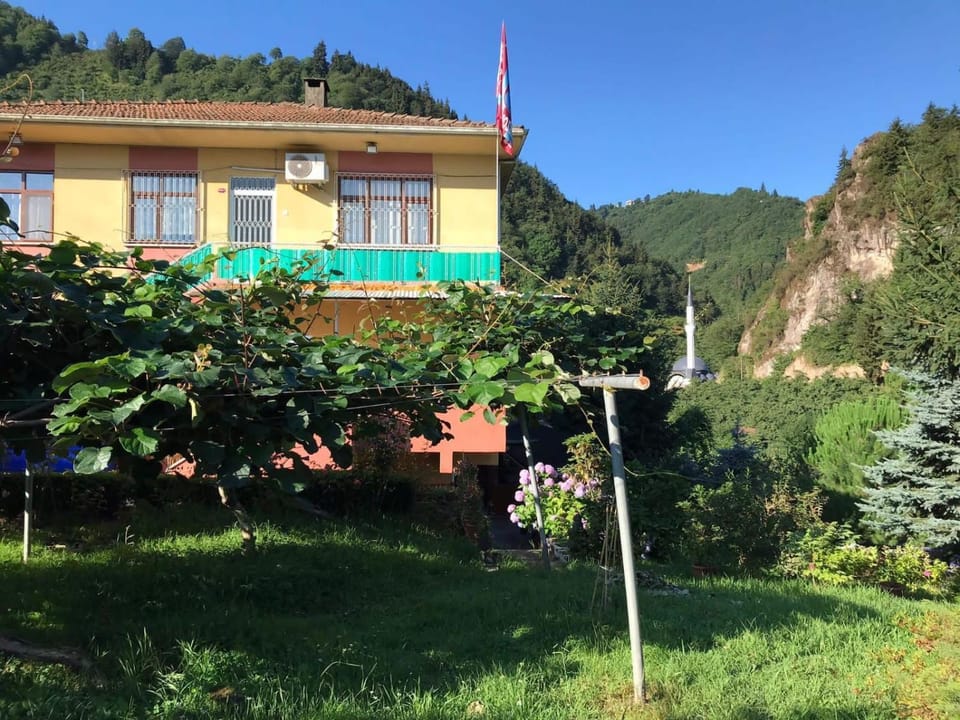 Property building, Garden