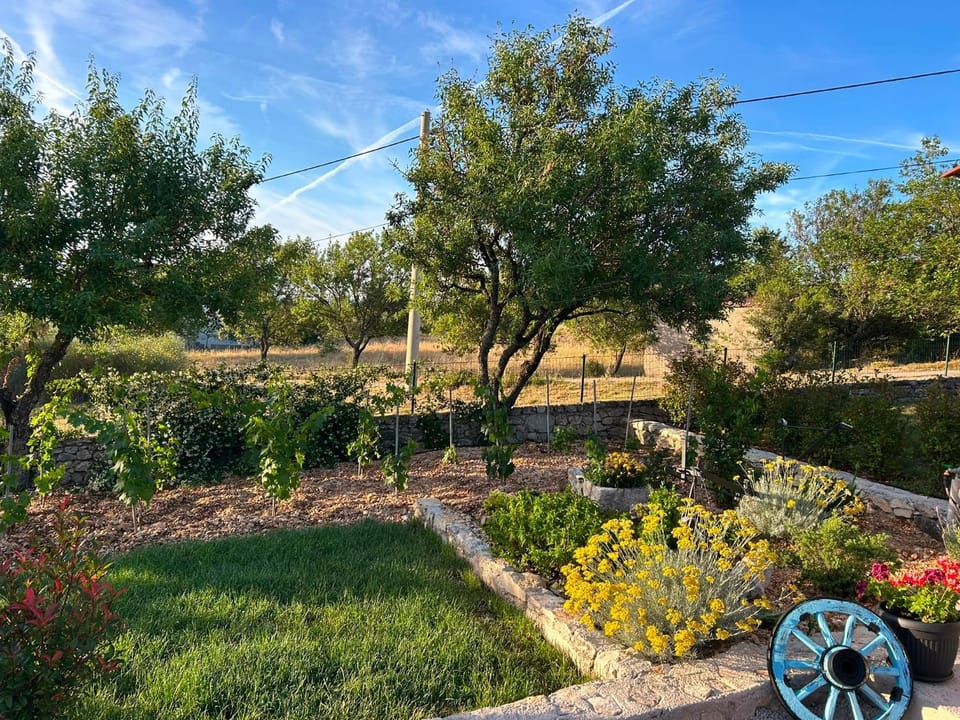 Villa Malenica - Pool and 1000m2 fenced garden Villa in Šibenik-Knin County, Croatia