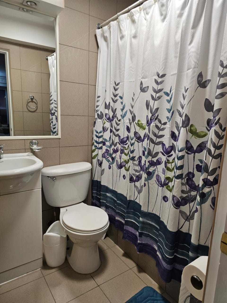 Shower, Bathroom, towels