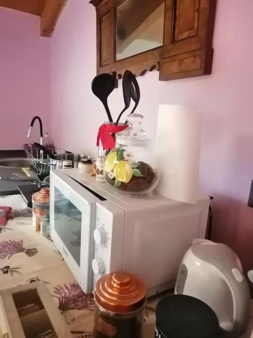 The jasmine house Apartment in Emilia-Romagna