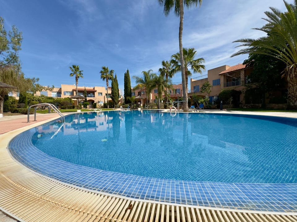 Day, Pool view, Swimming pool, sunbed