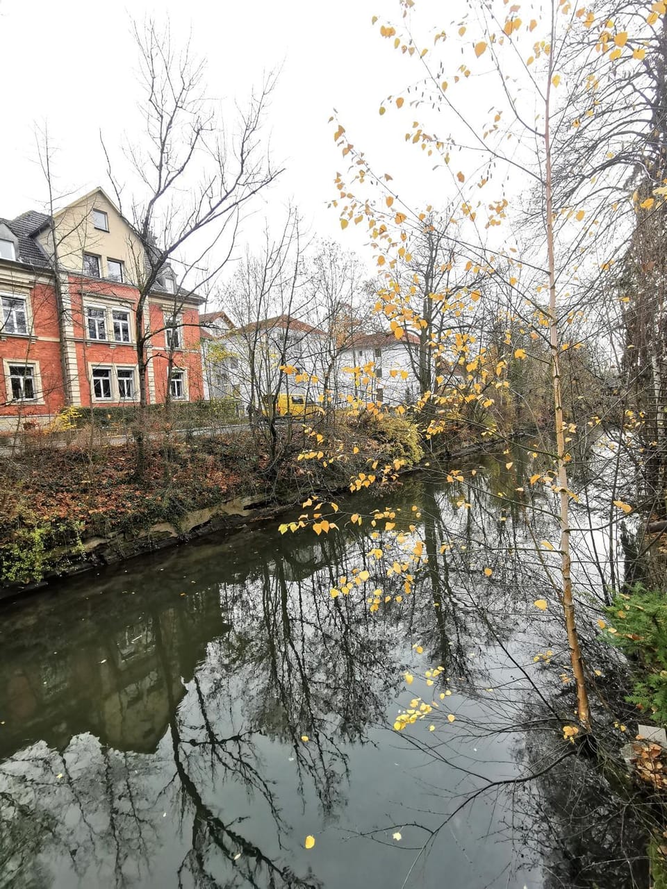 Natural landscape, Lake view