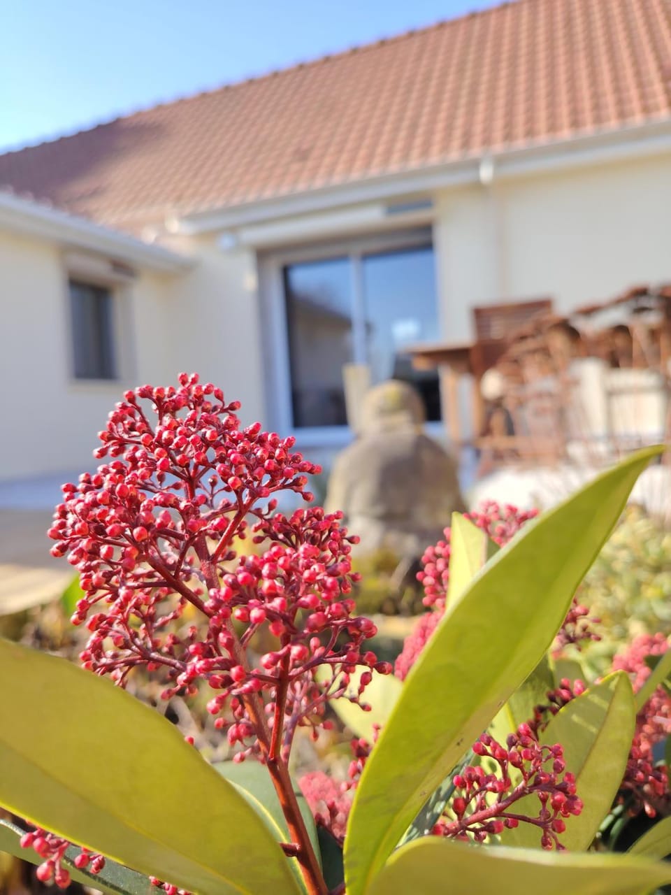 Le Jardin des Lacs Gîte Nature et SPA House in Hauts-de-France