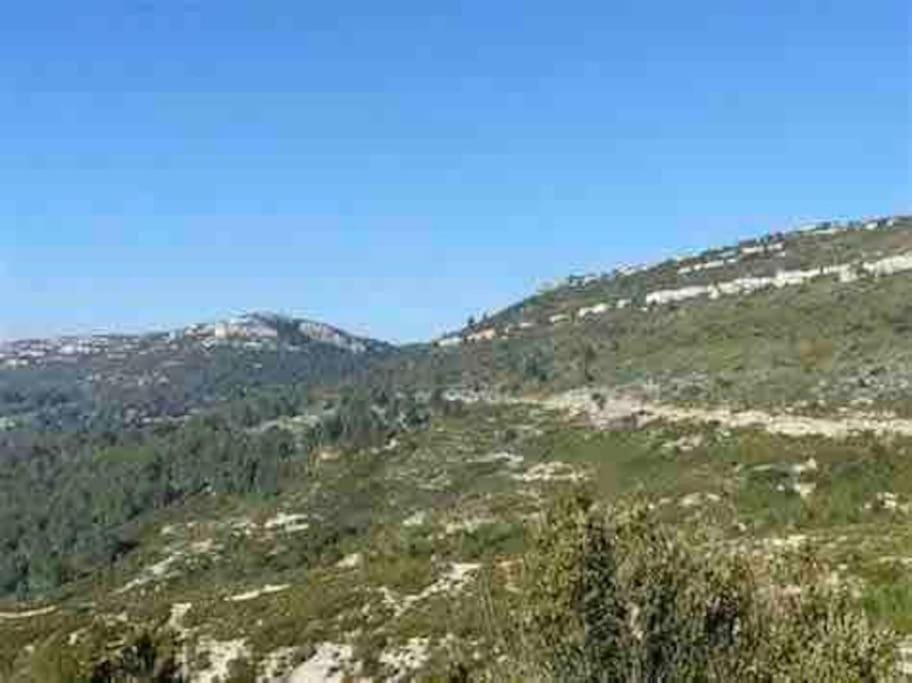 Superbe villa -proche Aix-en-Provence et Marseille Villa in French Riviera