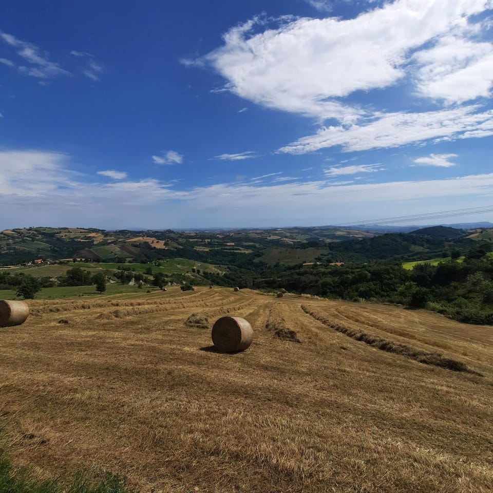 Natural landscape