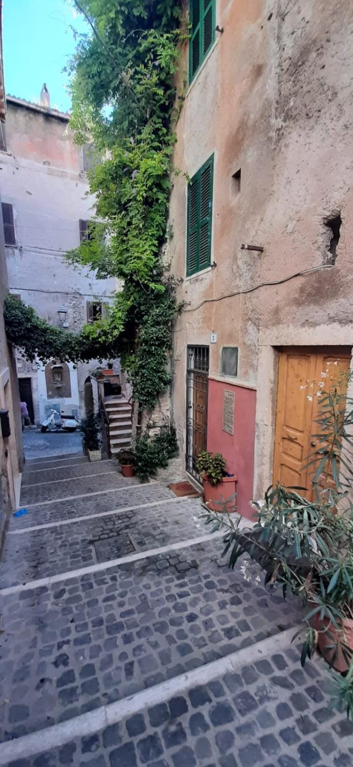 Quiet street view