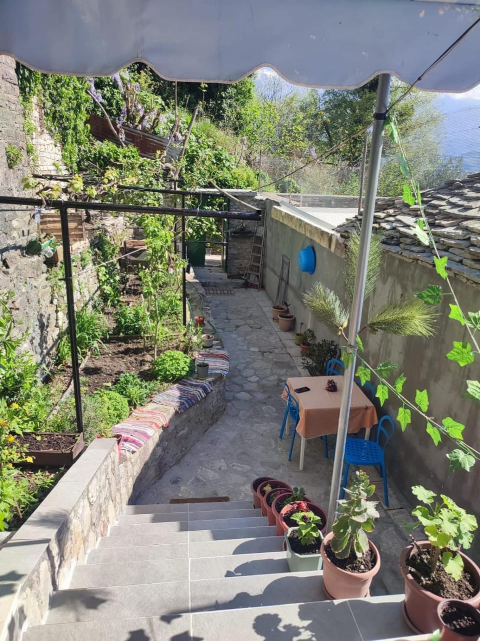 Pampeas Family House Apartment in Vlorë County, Albania