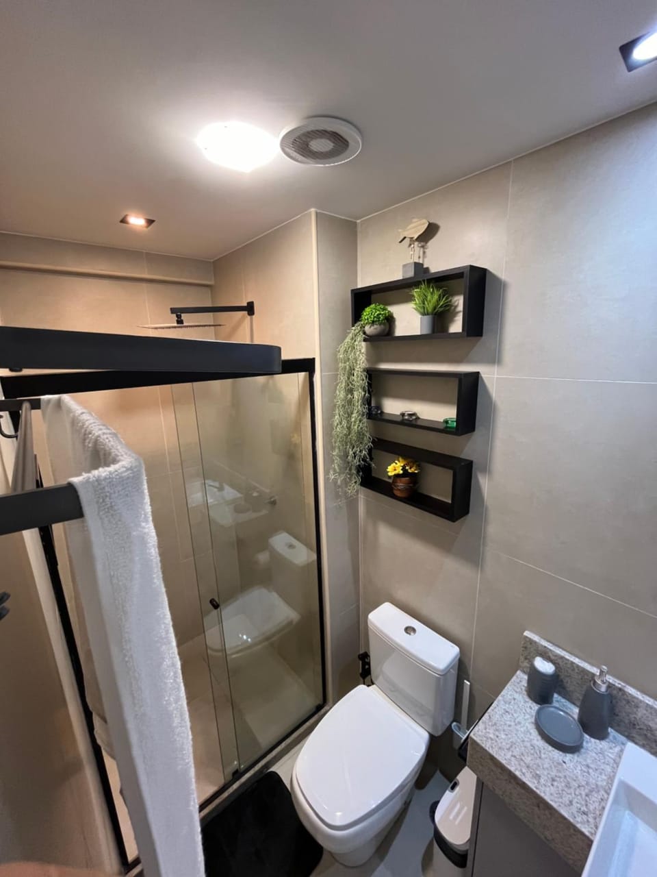 Shower, Toilet, Bathroom, towels