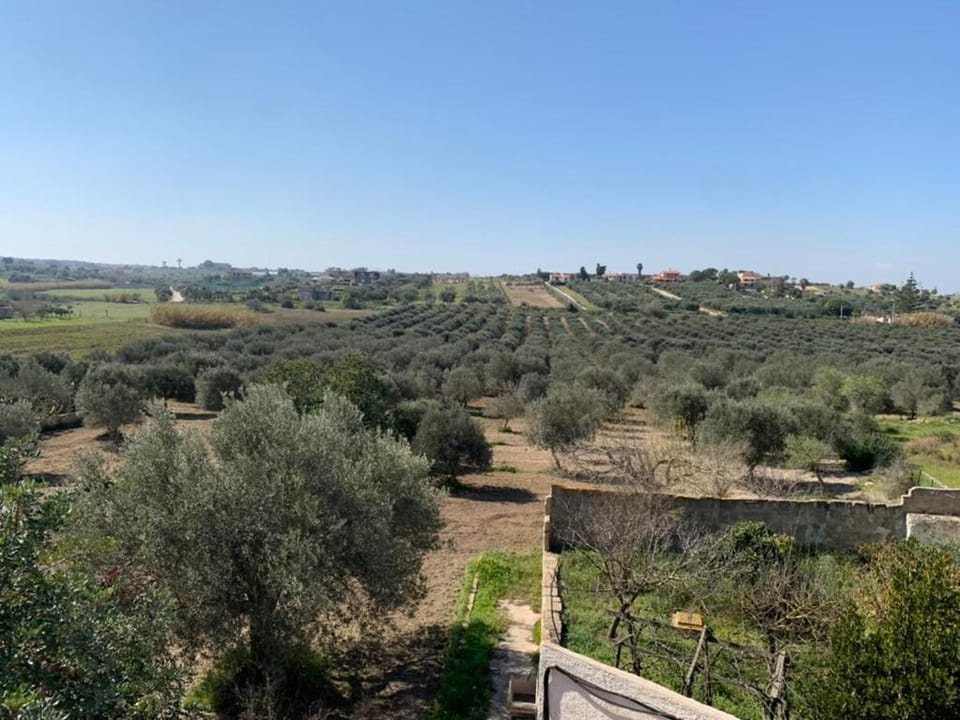 Natural landscape