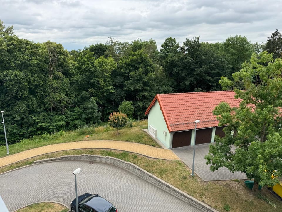 Neighbourhood, Street view