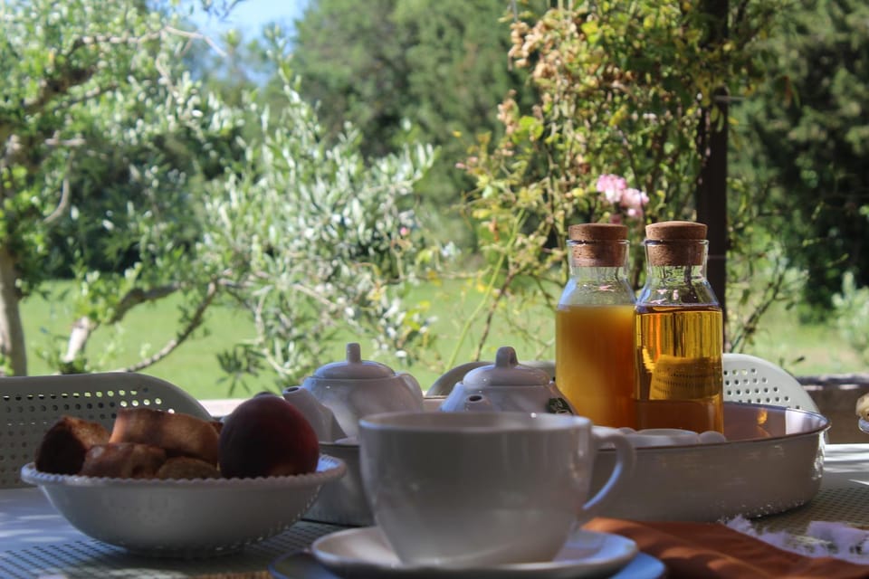 Mas Eva Bed and Breakfast in Arles