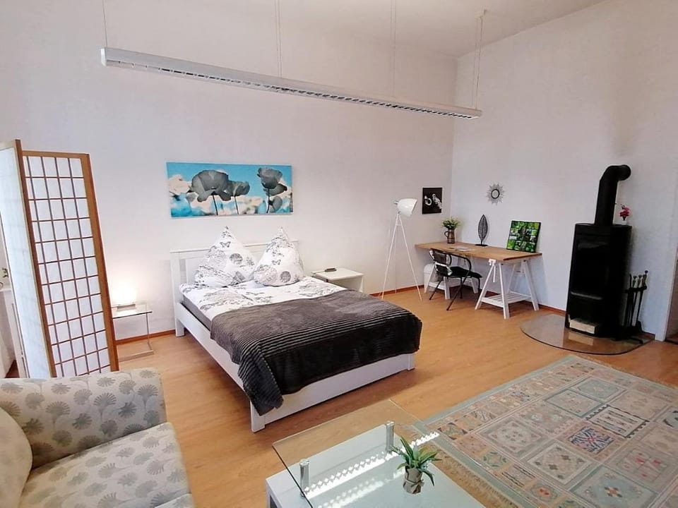 Nr 3 Großzügiges Kamin-Zimmer mit King-Size Bett im Zentrum WLAN TV gute Laune Vacation rental in Erzgebirgskreis