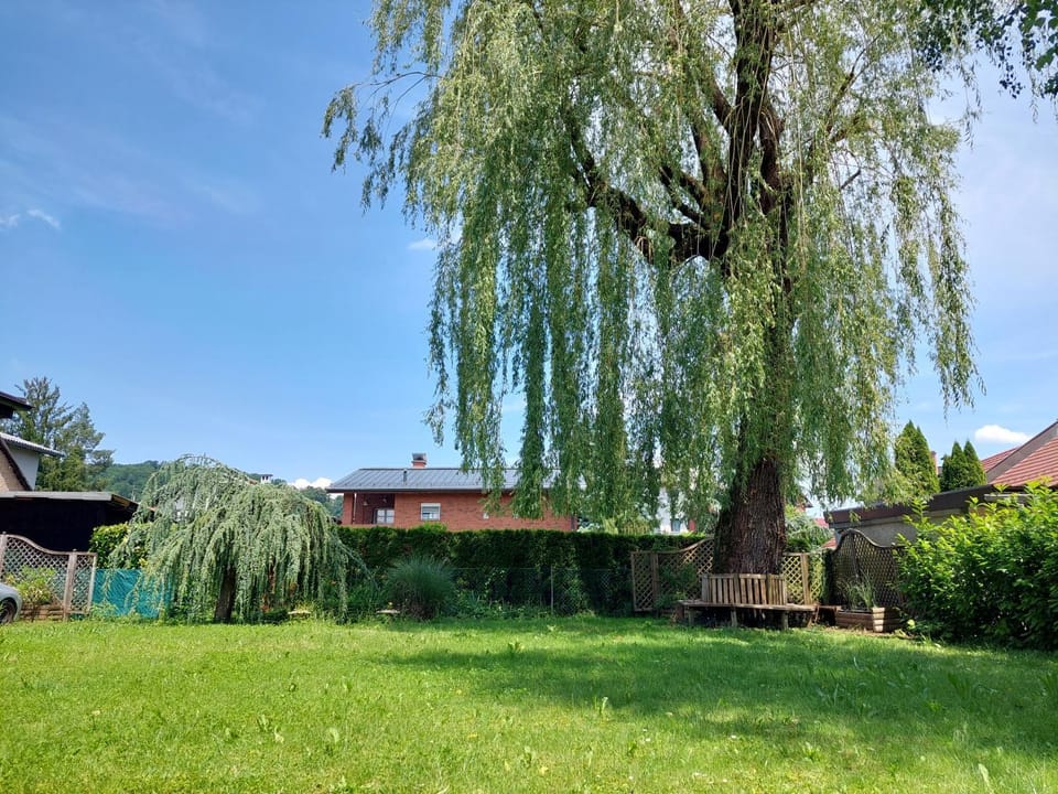 ROSE house - greenline accomodations Bed and Breakfast in Ljubljana
