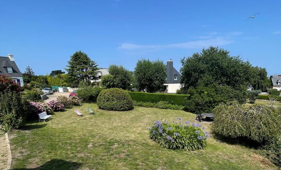 Natural landscape, Garden, Garden view, sunbed
