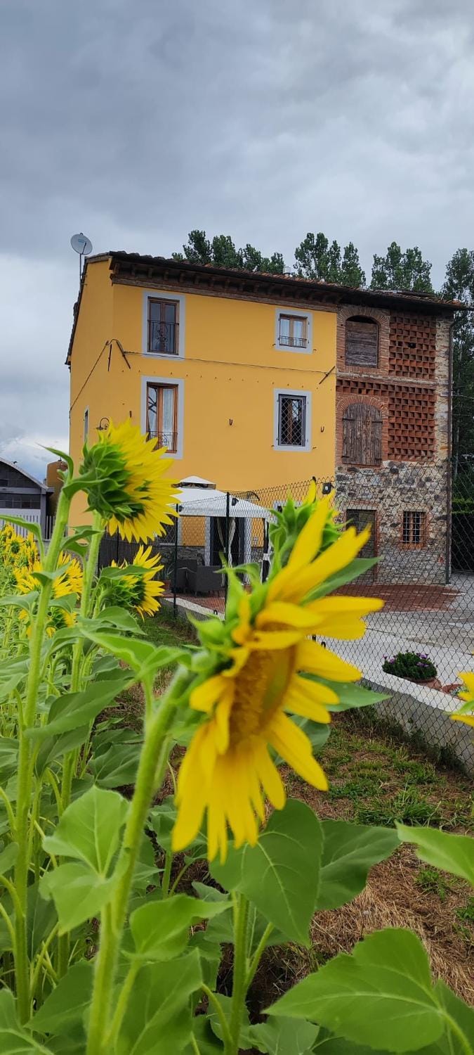 Property building, Garden, Garden view