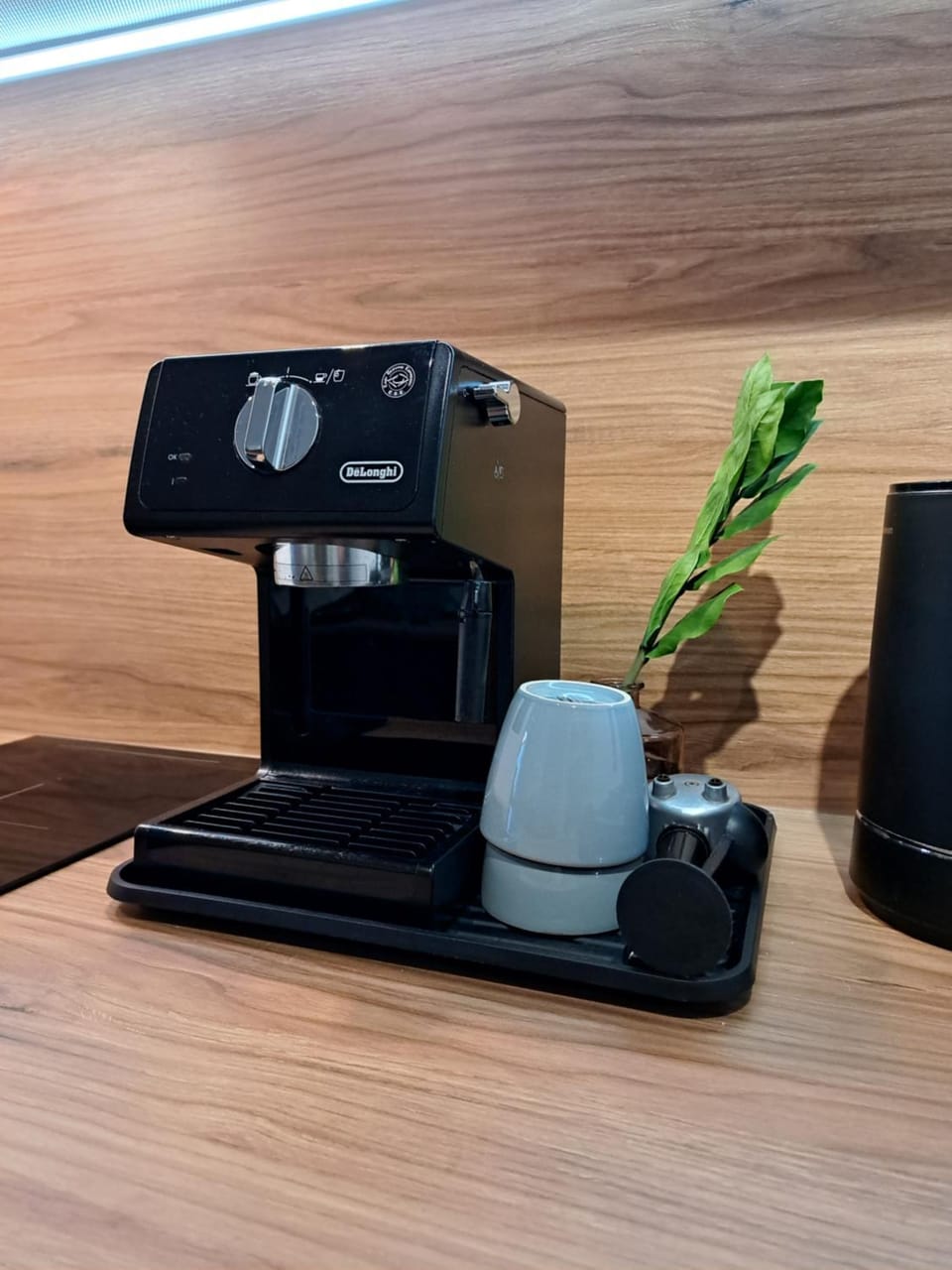 Coffee/tea facilities, Kitchen or kitchenette