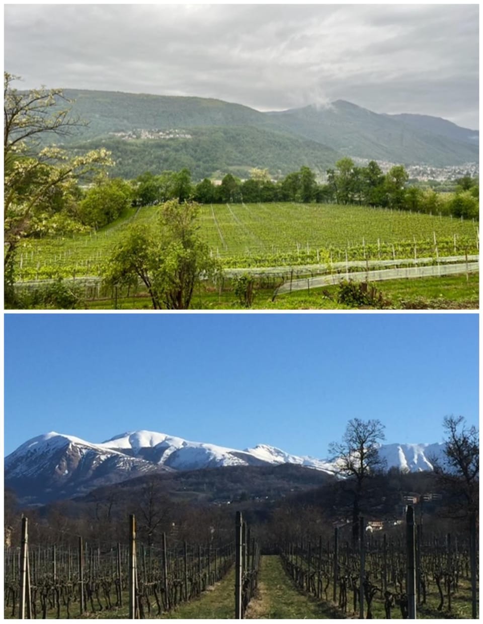 View (from property/room), Mountain view