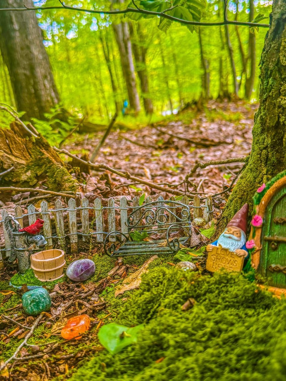 Fern Hill Retreat - Glamping Experience & Swimming Pond! Campground/ 
RV Resort in Allegheny River