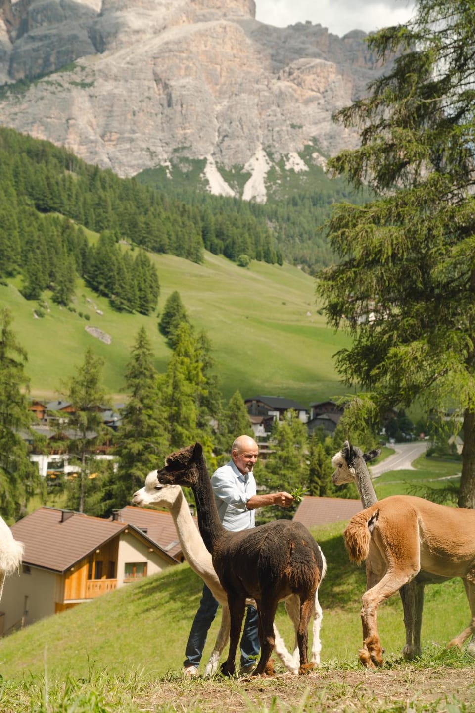 People, Natural landscape, Horse-riding, Mountain view, group of guests