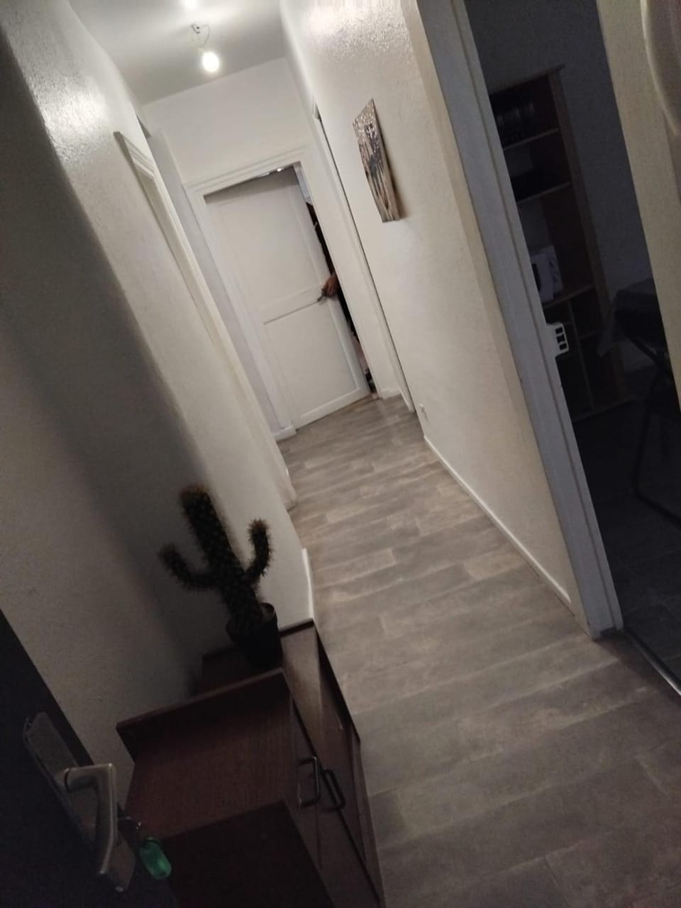 Appartement F3 centre de Mirecourt Apartment in Vosges