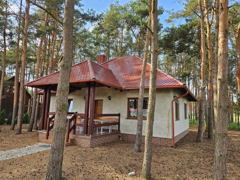 Natural landscape, Garden