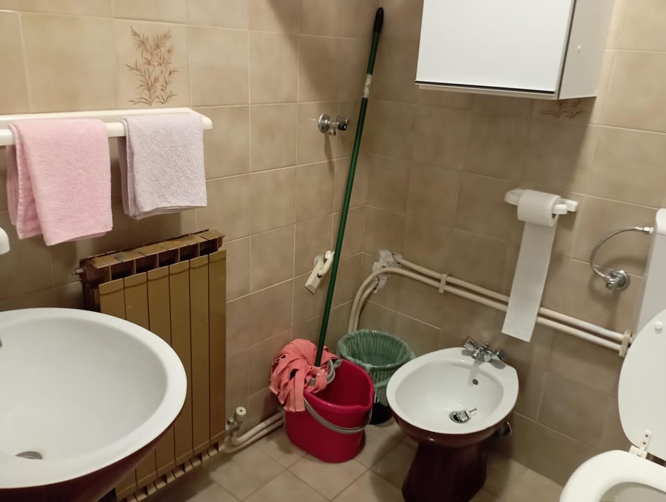 Apartman Kiwi Apartment in Istria County
