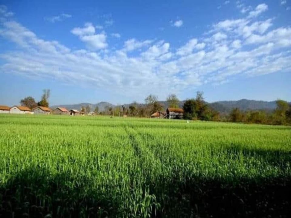 Natural landscape, Mountain view