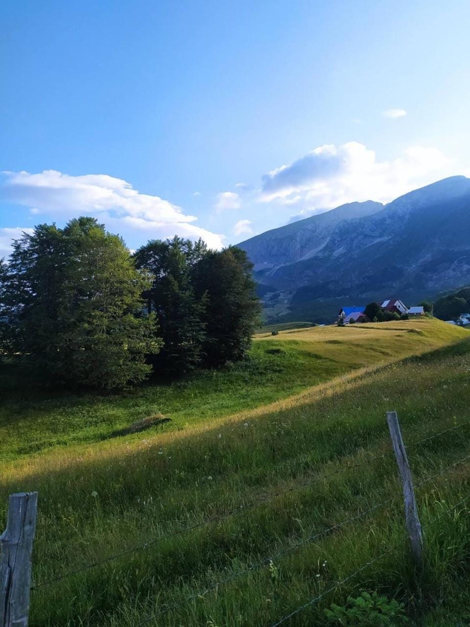 Vila Tamara 2024 Villa in Montenegro