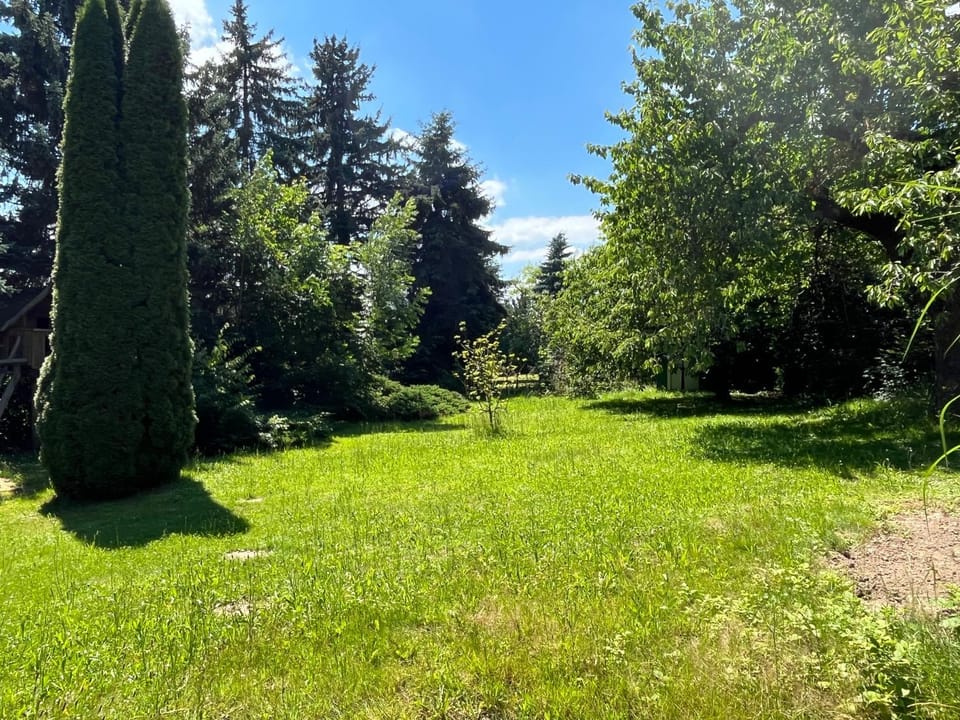 Natural landscape, Garden view