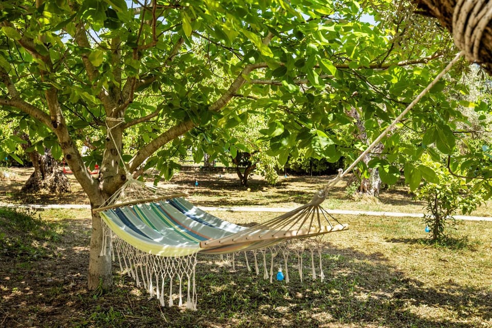 Garden, Garden view