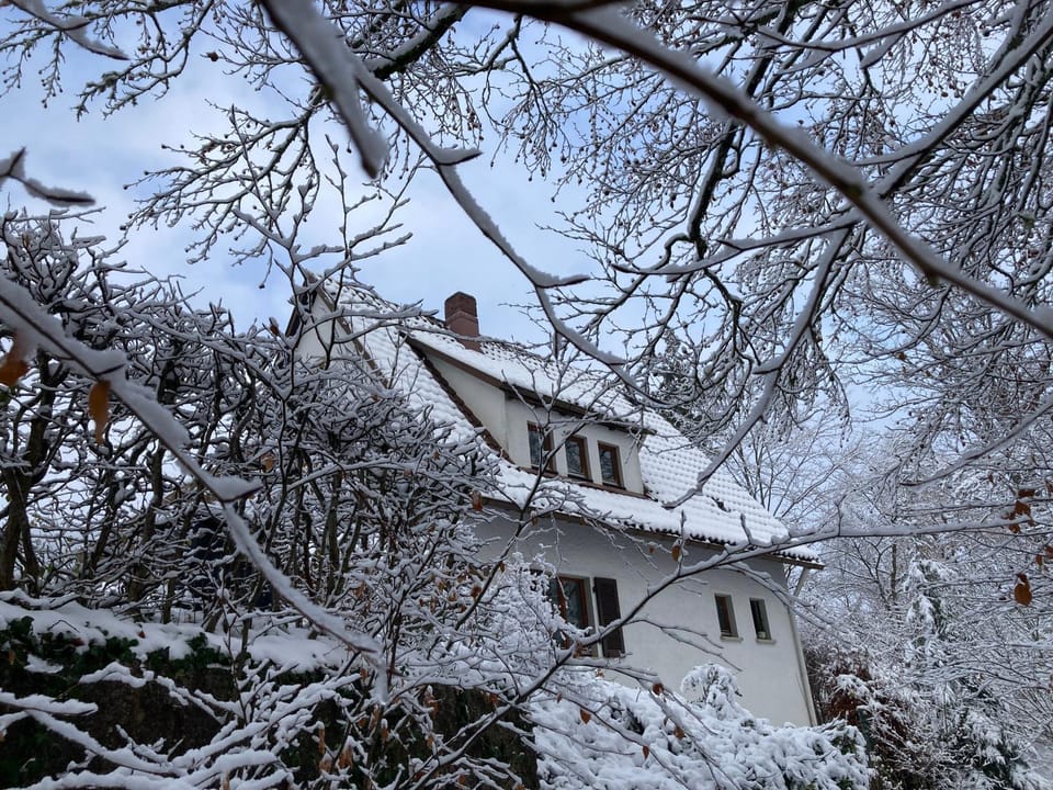 Property building, Natural landscape, Winter