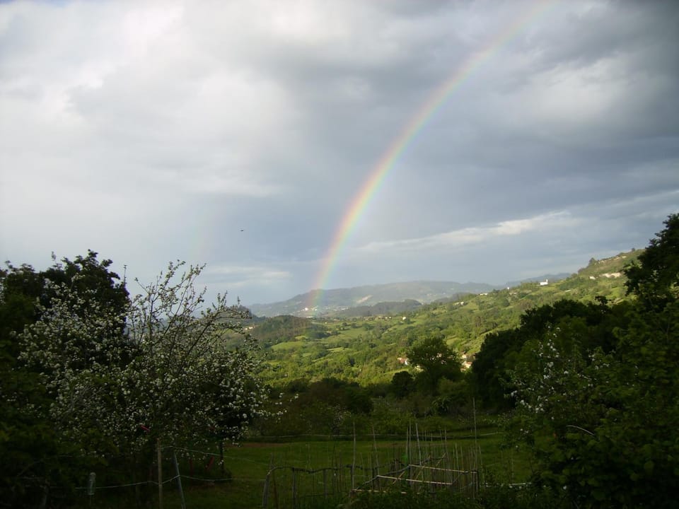 View (from property/room)