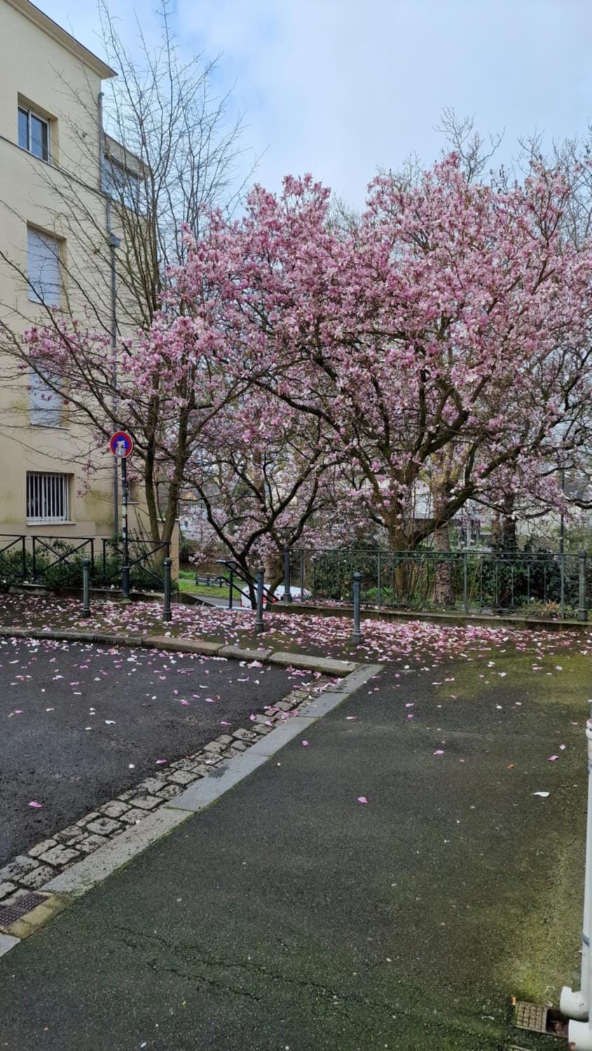 Property building, Spring