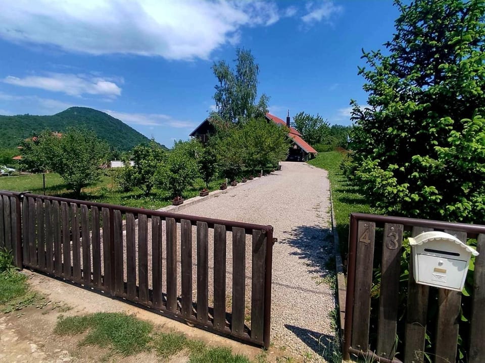 Spring, Day, Neighbourhood, Natural landscape