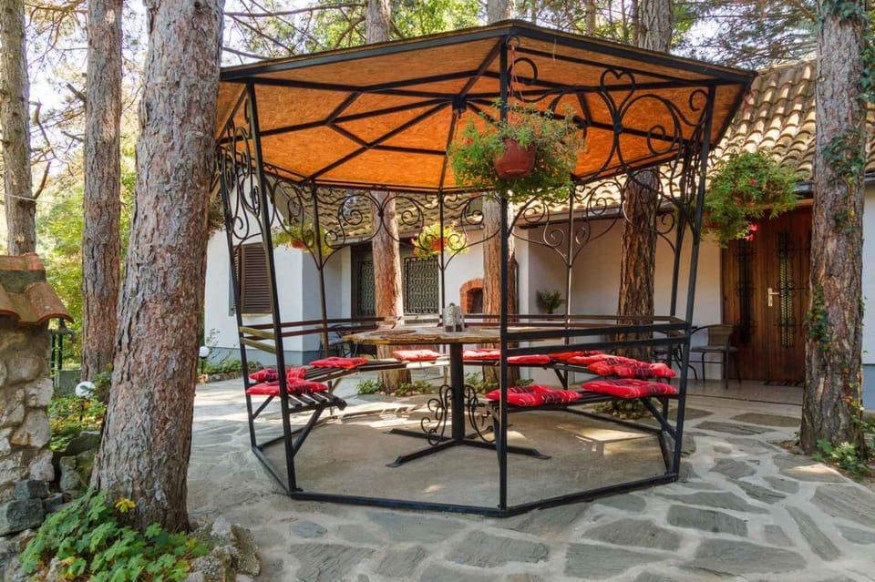 Apartman medju borovima Apartment in Serbia