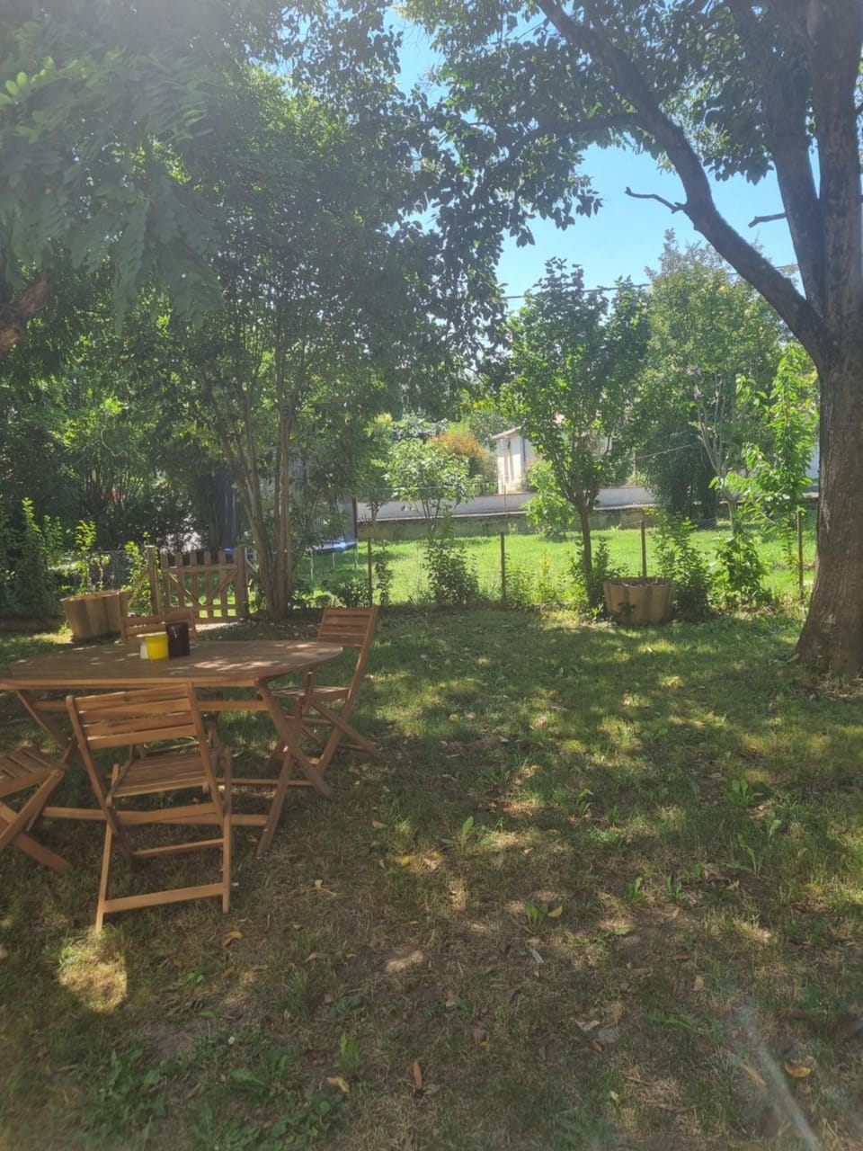 Maison Centre Ville avec jardin Bed and Breakfast in Occitanie