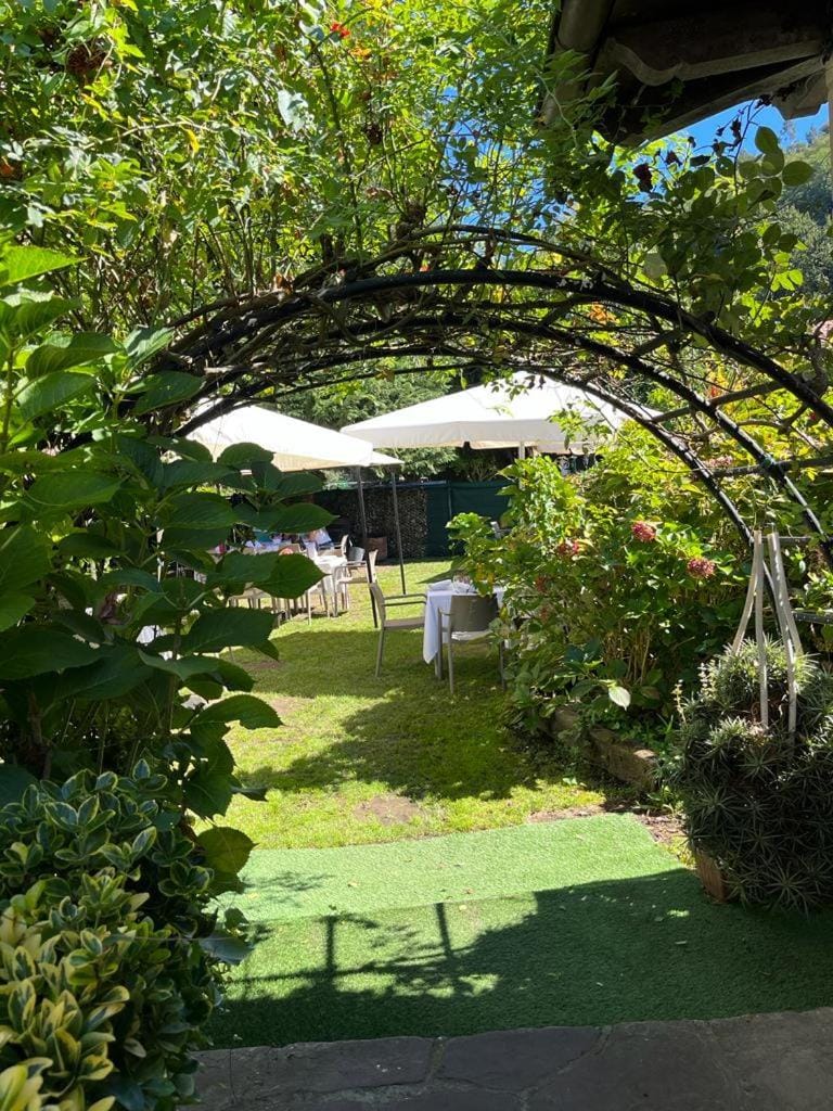Garden, Garden view