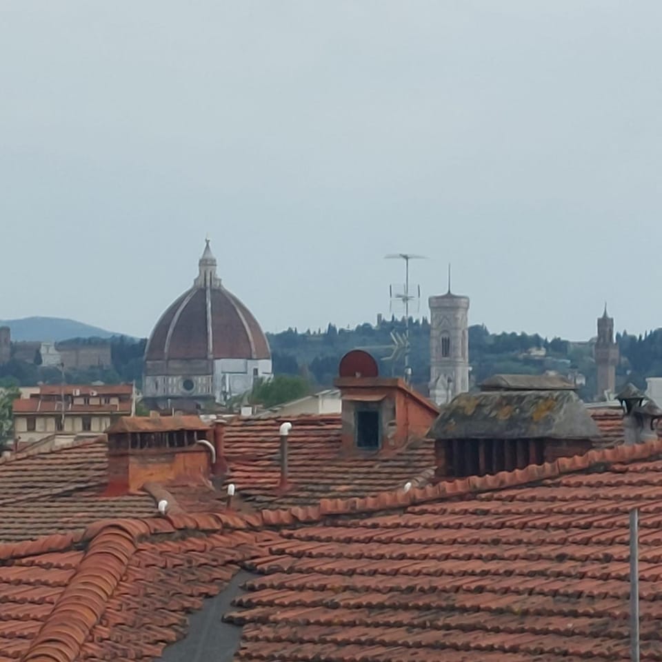 Sanesi's penthouse Apartment in Florence