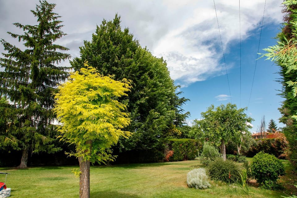 Spring, Day, Natural landscape, Garden, Garden, Balcony/Terrace, Garden view