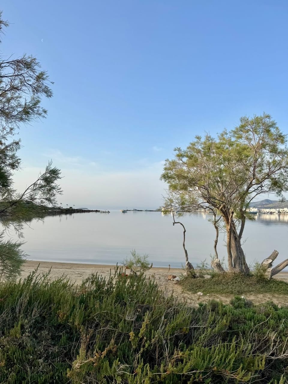 Sea view