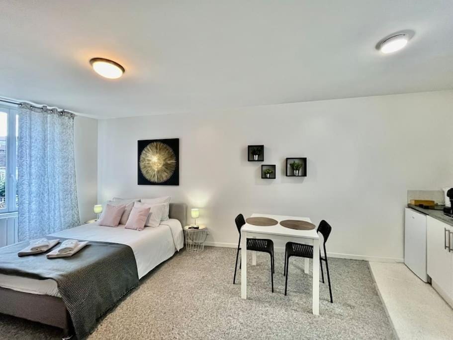 Studio 3 Rue Théodore Bac - DABNB Apartment in Limoges