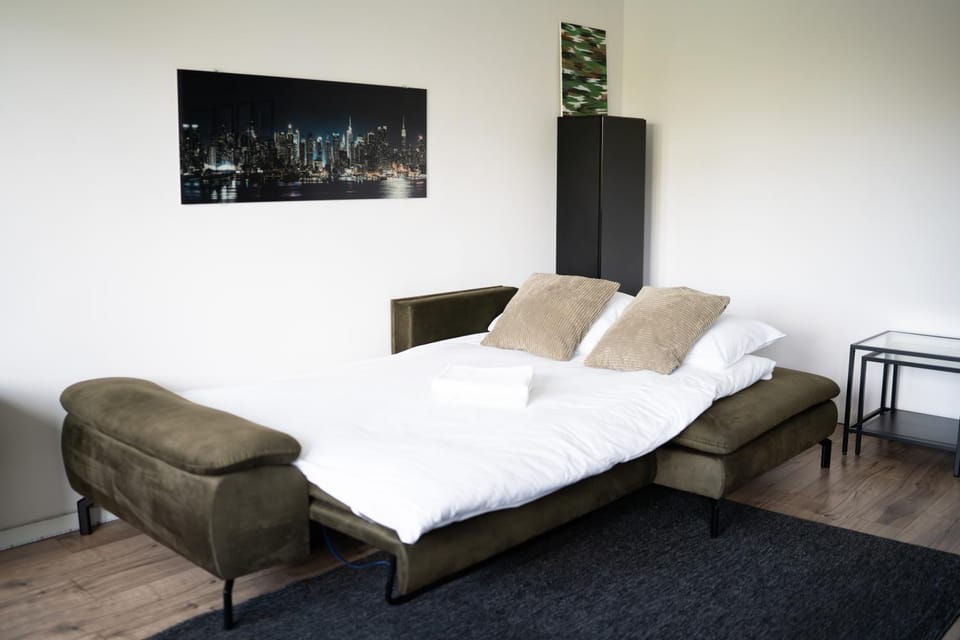 Bed, Living room, Photo of the whole room, Seating area, Bedroom
