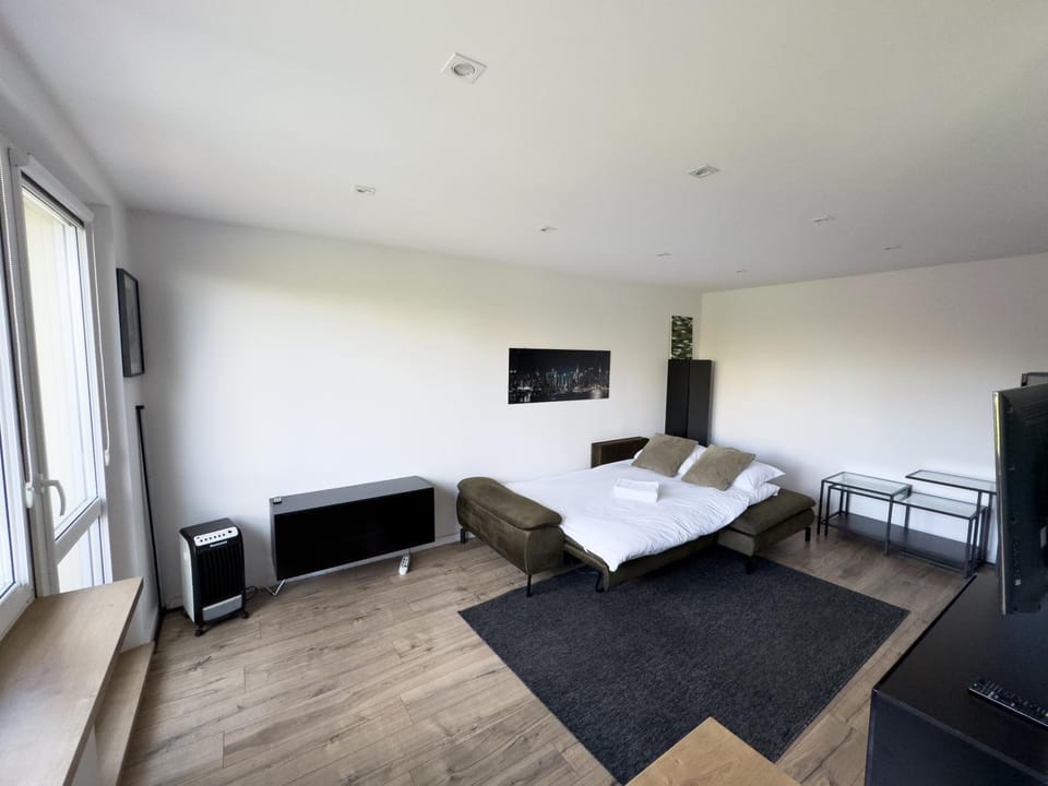 Communal lounge/ TV room, Bed, TV and multimedia, Photo of the whole room, Evening entertainment, Bedroom