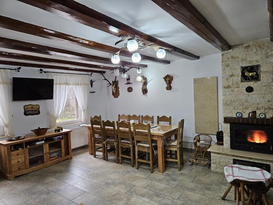 Dining area, fireplace