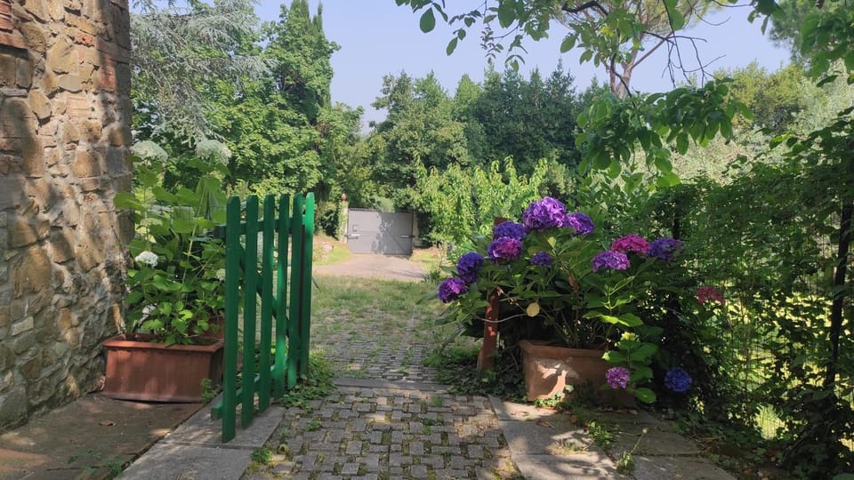 Garden view